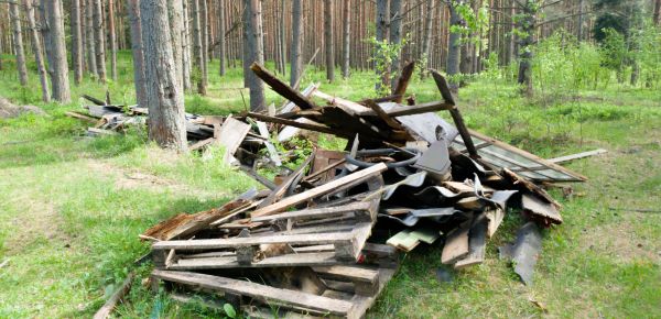 Debris Removal Service in Edmonds